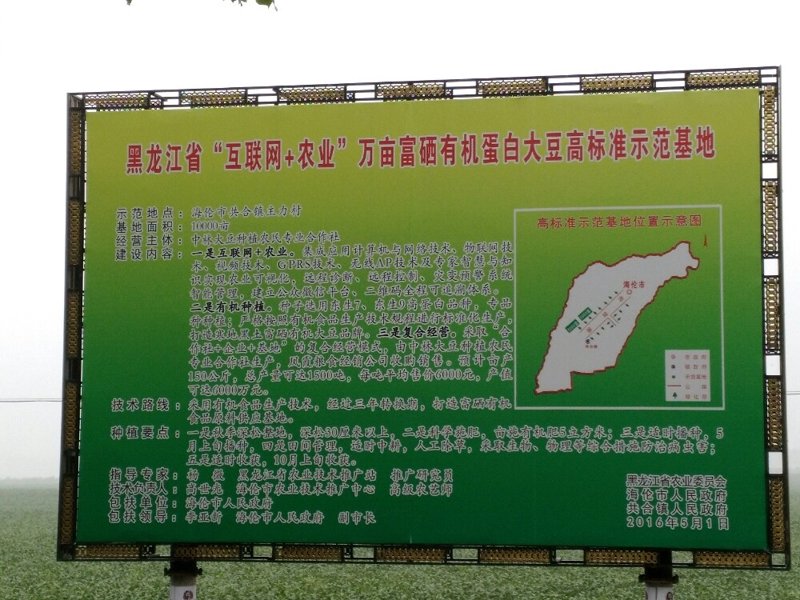 绥化网络推广