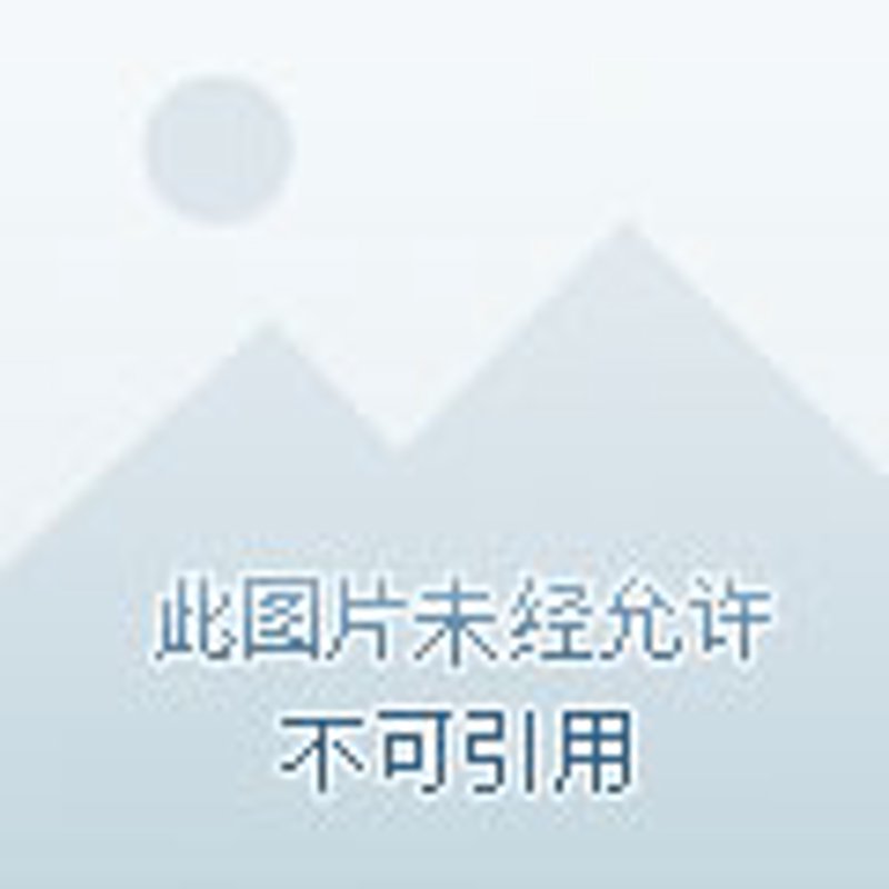 绥化网络推广：让您的品牌驶向数字化浪潮